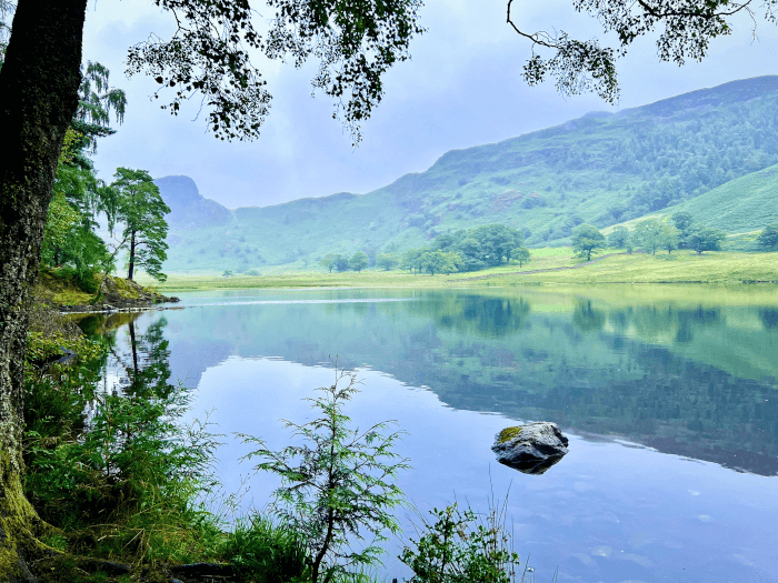 hwp-silent-upon-a-peak-in-northumberland-will-robson.png