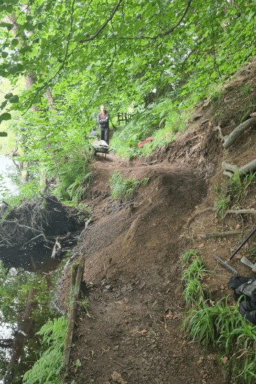 The collapsed path through Goose Nest Wood repaired by Contours Holidays. The intruding roots have been cut back and the path itself levelled for easy crossing.