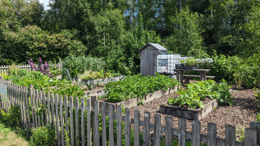 A series of raised beds host green plants at Gerddi bro Ddyfi in Machynlleth.