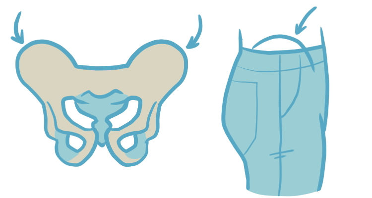 Diagram of a human pelvis with the iliac crest marked out, plus where the crest can be found on the body.