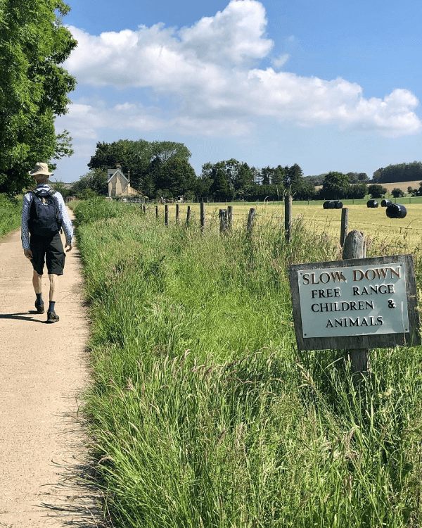 Ambiguous Sign by Jane Wilde