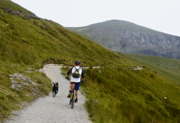 A cyclist and a dog ascend Snowdon via Llanberis Path.